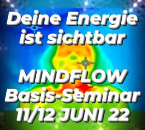 Mindflow Basis-Seminar mit KUGUS Coaching