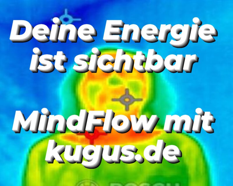MindFlow mit Ilona Fritz Basisseinar Energiebild