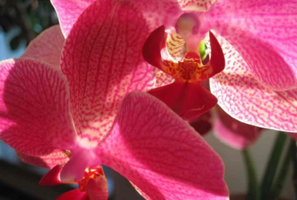Achtsamkeits Meditation mit Ilona Fritz von KUGUS Coaching